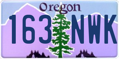 OR license plate 163NWK