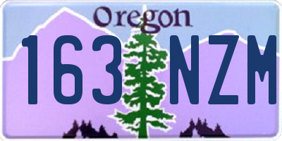 OR license plate 163NZM