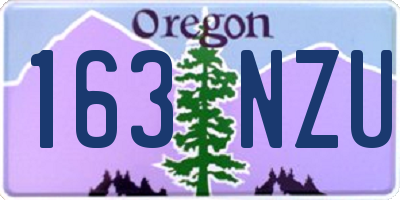 OR license plate 163NZU