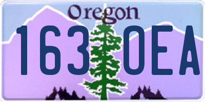 OR license plate 163OEA