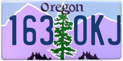 OR license plate 163OKJ