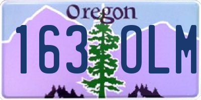 OR license plate 163OLM