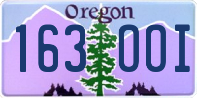 OR license plate 163OOI