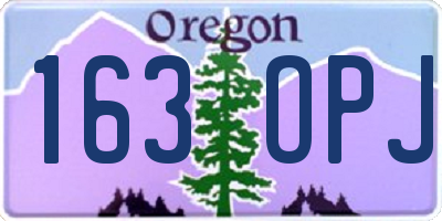 OR license plate 163OPJ