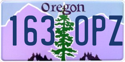 OR license plate 163OPZ