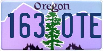 OR license plate 163OTE