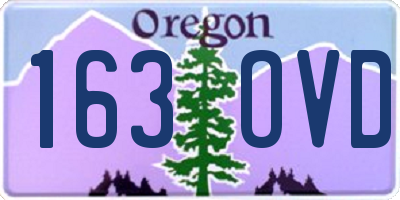 OR license plate 163OVD