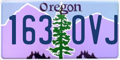 OR license plate 163OVJ