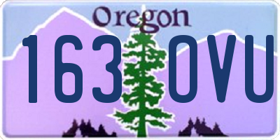 OR license plate 163OVU