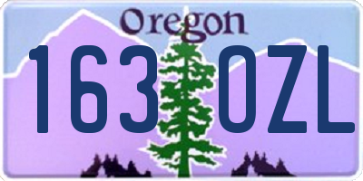 OR license plate 163OZL