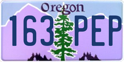 OR license plate 163PEP