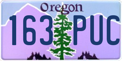 OR license plate 163PUC
