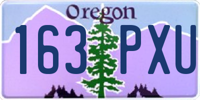 OR license plate 163PXU