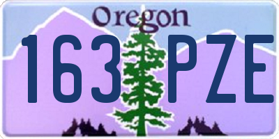 OR license plate 163PZE