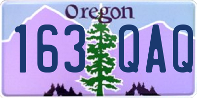 OR license plate 163QAQ