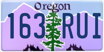 OR license plate 163RUI