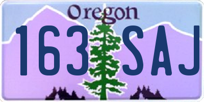 OR license plate 163SAJ