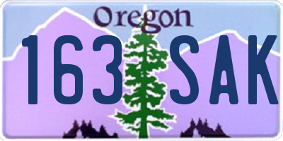 OR license plate 163SAK