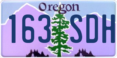 OR license plate 163SDH
