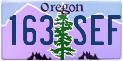 OR license plate 163SEF