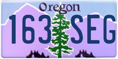 OR license plate 163SEG