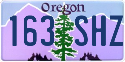 OR license plate 163SHZ