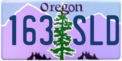 OR license plate 163SLD