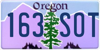 OR license plate 163SOT