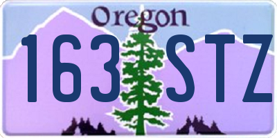 OR license plate 163STZ