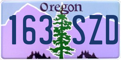 OR license plate 163SZD