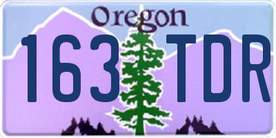 OR license plate 163TDR