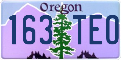OR license plate 163TEO