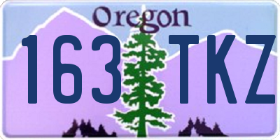OR license plate 163TKZ
