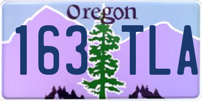 OR license plate 163TLA