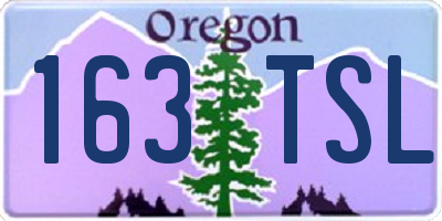 OR license plate 163TSL