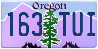 OR license plate 163TUI