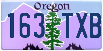 OR license plate 163TXB