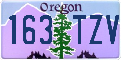 OR license plate 163TZV
