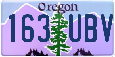 OR license plate 163UBV