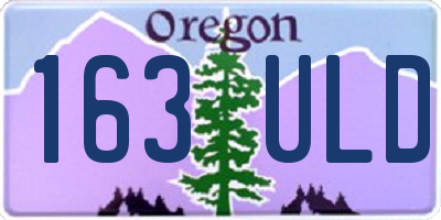 OR license plate 163ULD
