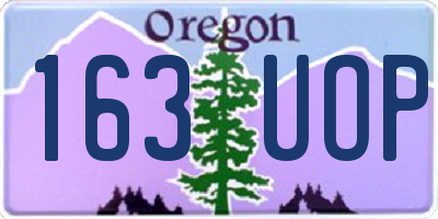 OR license plate 163UOP
