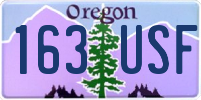 OR license plate 163USF