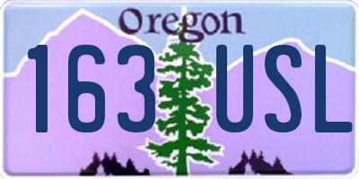 OR license plate 163USL
