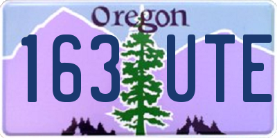 OR license plate 163UTE