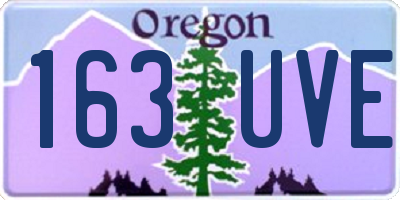 OR license plate 163UVE