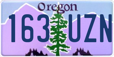OR license plate 163UZN
