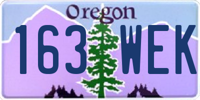 OR license plate 163WEK