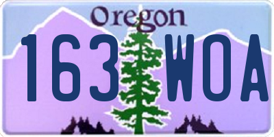 OR license plate 163WOA
