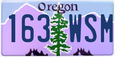 OR license plate 163WSM