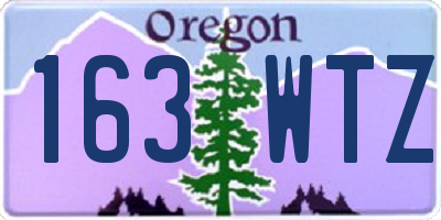 OR license plate 163WTZ